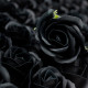 10x Craft Soap Flowers - Med Rose - Black