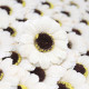 10x Craft Soap Flowers - Sml Sunflower - Ivory