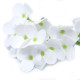 10x Craft Soap Flowers - Hyacinth Bean - White