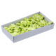 10x Craft Soap Flowers - Hyacinth Bean - Spring Green