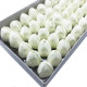 10x Craft Soap Flower - Med Tulip - White