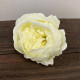 10x Craft Soap Flower - Ext Large Peony - Ivory