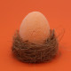 Pack of 6 Bath Eggs - Tangerine &amp; Grapefruit