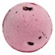 Rose &amp; Petals Bath Bomb