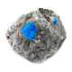 Cavansite with Metrics 30-40mm