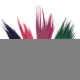 Set 4 - Pampas Long Broom - Vivid colours