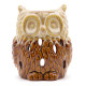 Classic Rustic Oil Burner - Owl (assorted)