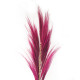 3x Rayung Grass Pink- 1.6m