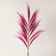 3x Rayung Grass Pink- 1.6m