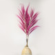 3x Rayung Grass Pink- 1.6m