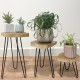 Set of 3 Gamal Wood Plant Stands - Greenwash