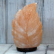 Crafted Salt lamp - Fern 3x5x7 inch