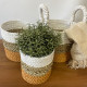 Seagrass Basket Set - Orange / Natural / White