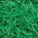 Very Fine Shredded paper - Green (0.5KG)