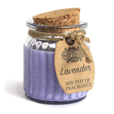 2x Lavender Soy Pot of Fragrance Candles