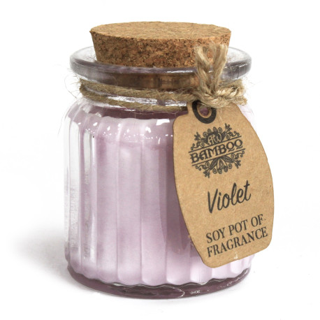 2x Violet Soy Pot of Fragrance Candles