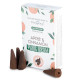 Plant Based Backflow Incense Cones - Apple &amp; Cinnamon