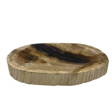 Petrified Wood Black Soap Dish