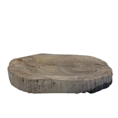 Petrified Wood Brown Soap Dish