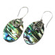 Shell &amp; Silver Earrings - Abalone