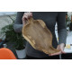 Teak Leaf Shaped Bowl - aprox 32cm