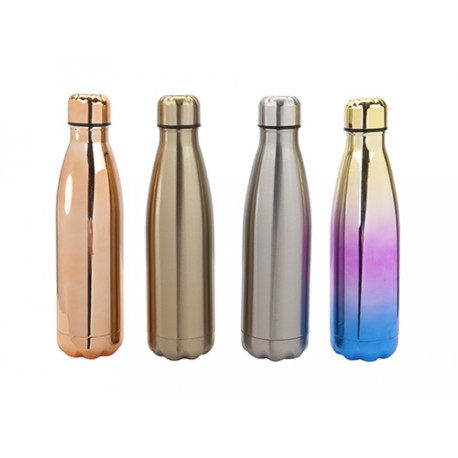 Stainless Steel Double Wall Drinking Flask / Bottle (500ml) - 4 Asst Designs