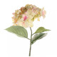 68cm Single Large Hydrangea Cream Blush