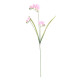 67cm Freesia Spray Pink