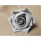 Bunch of 5 Grey Foam Tea Rose