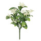 UV Exterior Everlast Star Flower Plant (25cm)