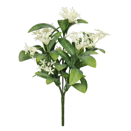 UV Exterior Everlast Star Flower Plant (25cm)