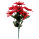 Red Poinsettia Bush