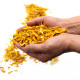 Sunflower Petals (0.5KG)