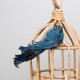 Blue Showfeather Bird with clip