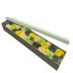 Extra Long Box - Spring Celibrations - Yellow &amp; Greens