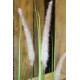 PVC Grass Plant With Cat-Tails 124cm