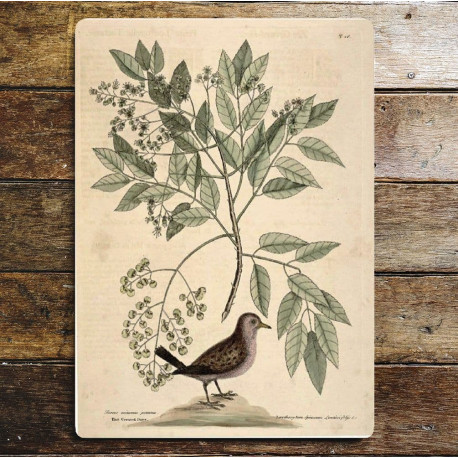 Bird Branch Botanical Insect - Metal Botanical Wall Sign