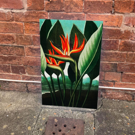 Bird of Paradise Vintage Botanical Plant - Metal Sign