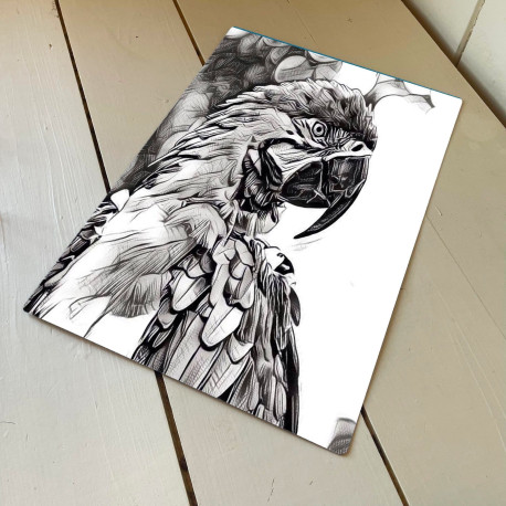 Black And White Parrot Wall Sign