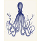 Blue Octopus - Metal Botanical Wall Sign Plaque