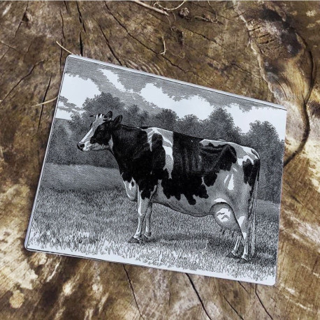 Cow Illustration - Metal Vintage Wall Sign