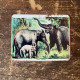 Elephants Metal Sign Plaque