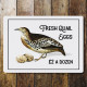 Fresh Quail Eggs  Tin Sign Metal Sign Plaque