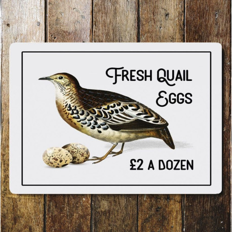 Fresh Quail Eggs  Tin Sign Metal Sign Plaque