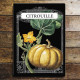 Garden seeds Citrouille Pumpkin Kitchen - Metal Advertising Wall Sign