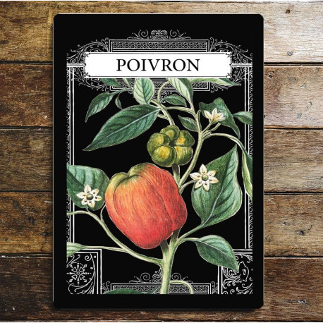 Garden seeds Poivron Bell pepper Kitchen - Metal Advertising Wall Sign