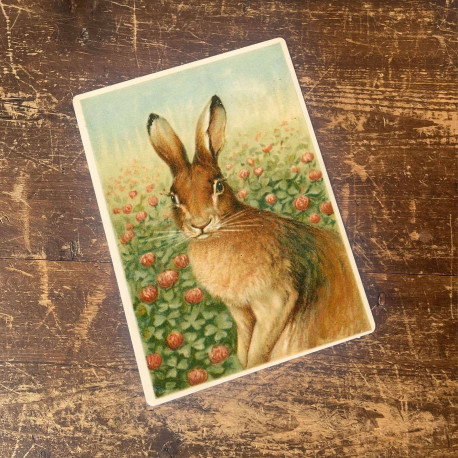 Hare Illustration - Metal Botanical Wall Sign