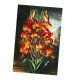 Hyacinths Vintage Botanical Plants - Metal Sign