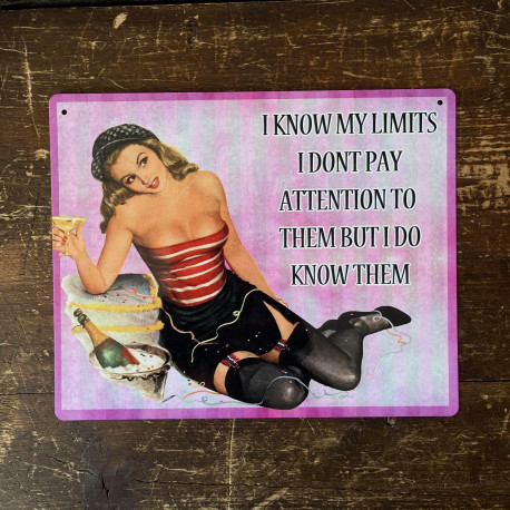 I Know My Limits I Don't Pay Attention To Them But I do Know Them - Metal Humour Wall Sign -