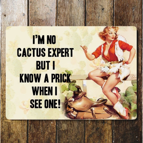 I'm No Cactus Expert But I Know A Prick When I See One - Pin Up Girl - Metal Wall Sign